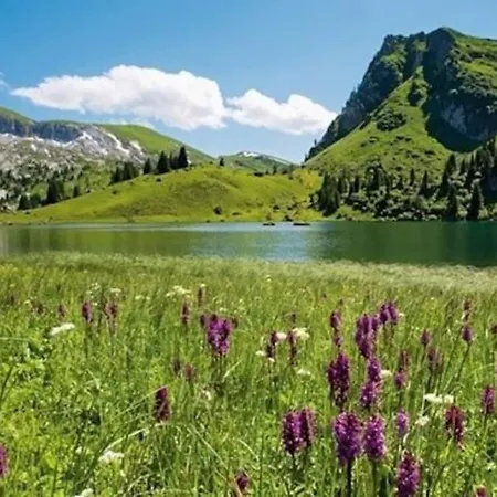 Mountain View In The Vacation Center Lägenhet *