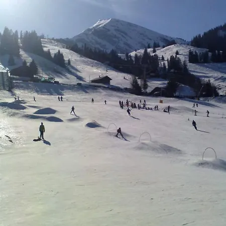 Mountain View In The Vacation Center Lägenhet Diemtigen