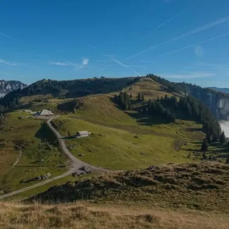 Mountain View In The Vacation Center Apartament *