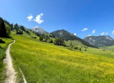 Mountain View In The Vacation Center