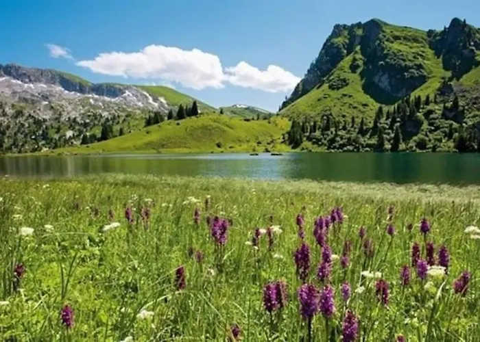 Mountain View In The Vacation Center Apartment *