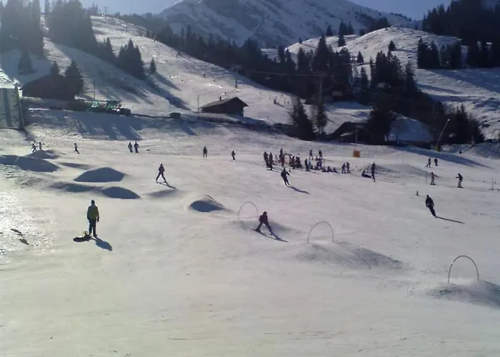 Mountain View In The Vacation Center Apartment Diemtigen