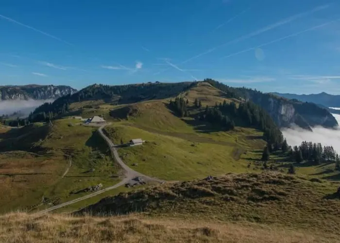 Mountain View In The Vacation Center Apartment *