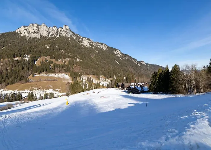 Lejlighed Mountain View In The Vacation Center Diemtigen