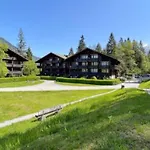 Mountain View In The Vacation Center * Diemtigen